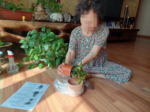 원예.jpg