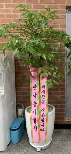 재개관화분 1.jpg