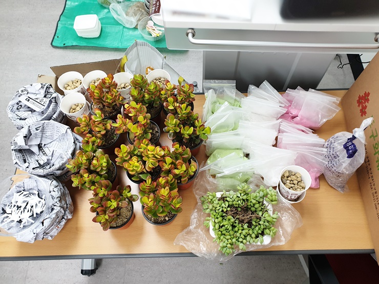 KakaoTalk_20201109_144016784_01.jpg