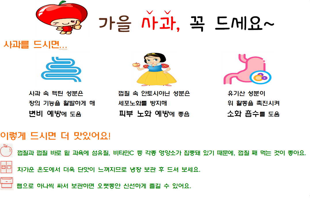 제목 없음.png