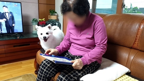 로지코론도사진2.jpg